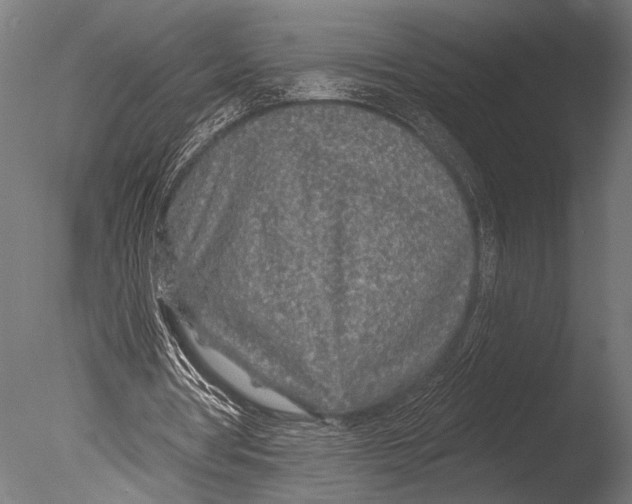 X0000085060386200703261210