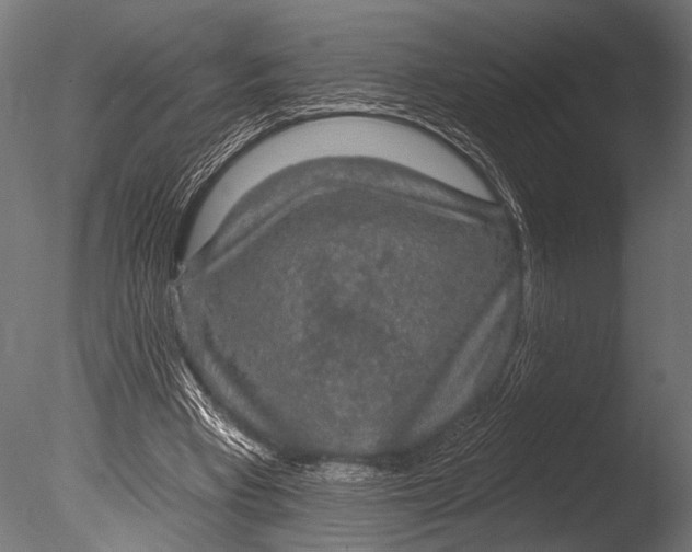 X0000085060393200703261210
