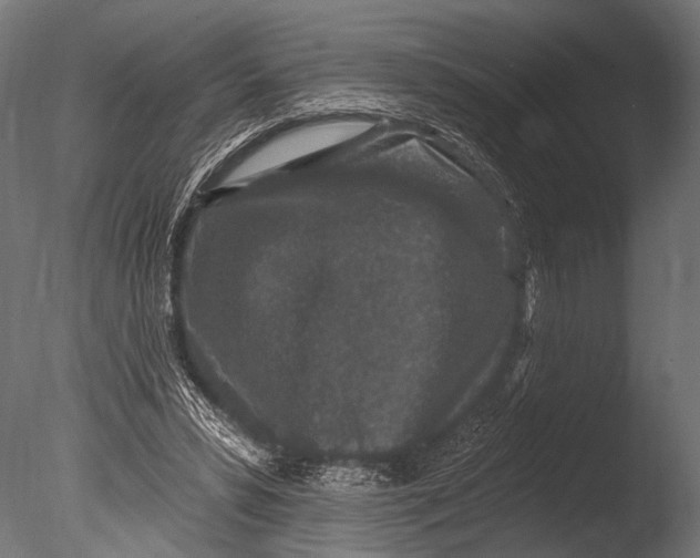 X0000085060399200703261210