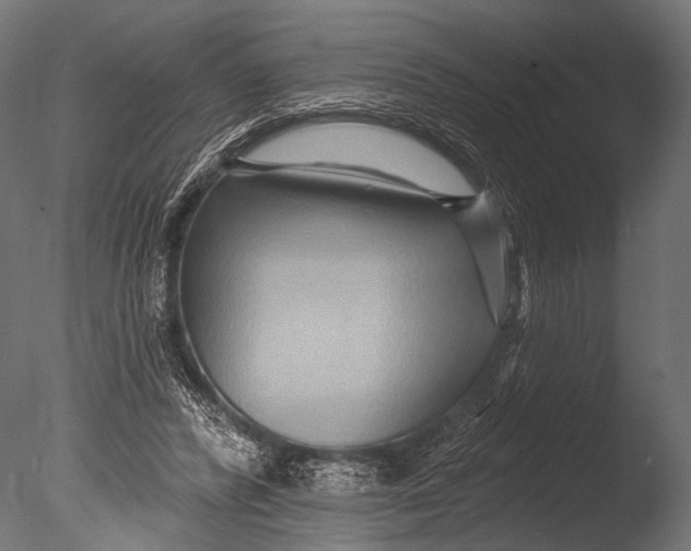 X0000085060400200703261210