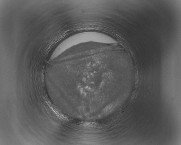 X0000085060401200703261210