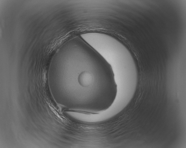X0000085060405200703261210