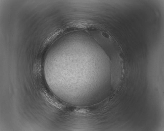 X0000085060407200703261210