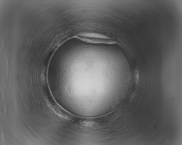 X0000085060408200703261210