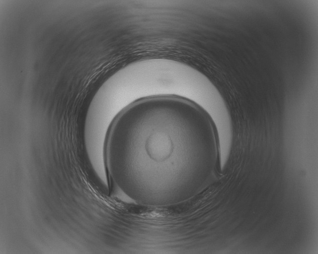 X0000085060412200703261210
