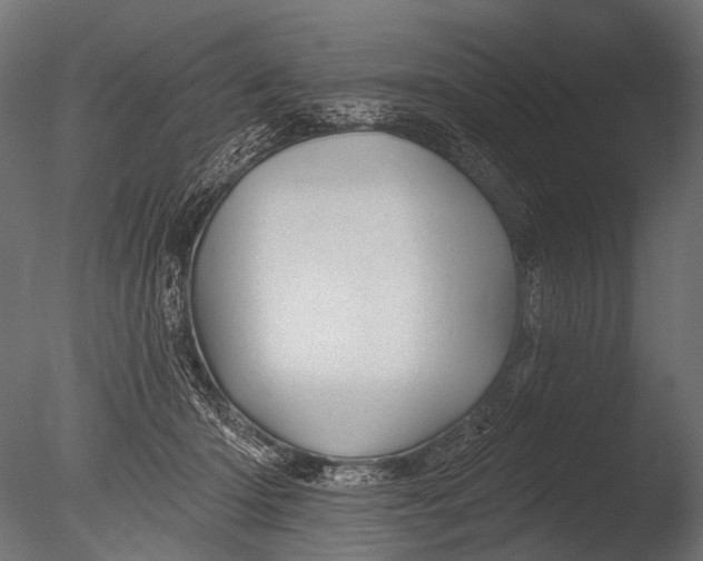 X0000085060414200703261210