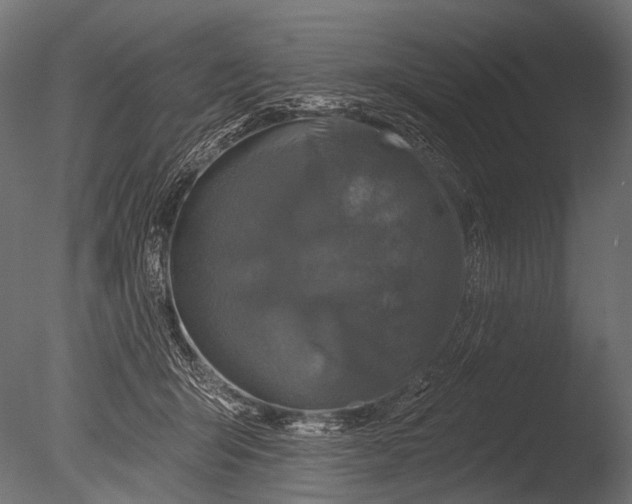 X0000085060415200703261210