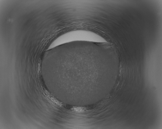 X0000085060417200703261210