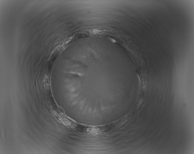 X0000085060419200703261210