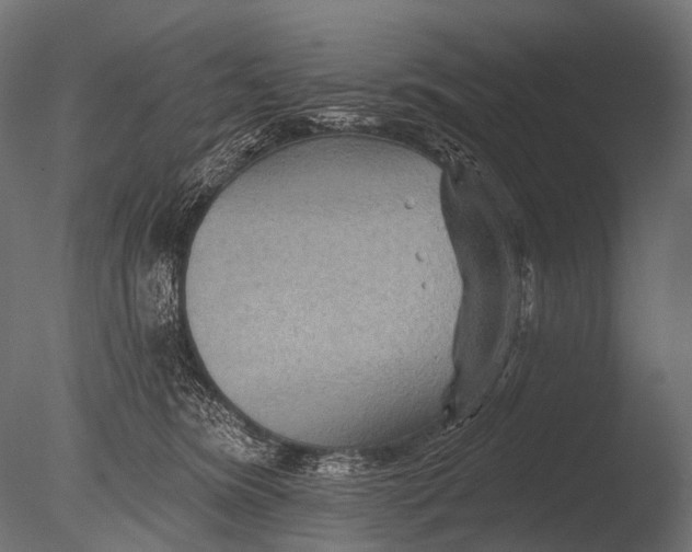 X0000085060420200703261210
