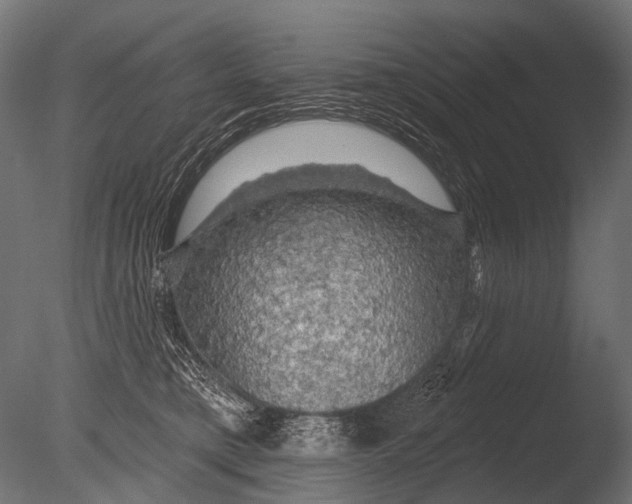 X0000085060421200703261210
