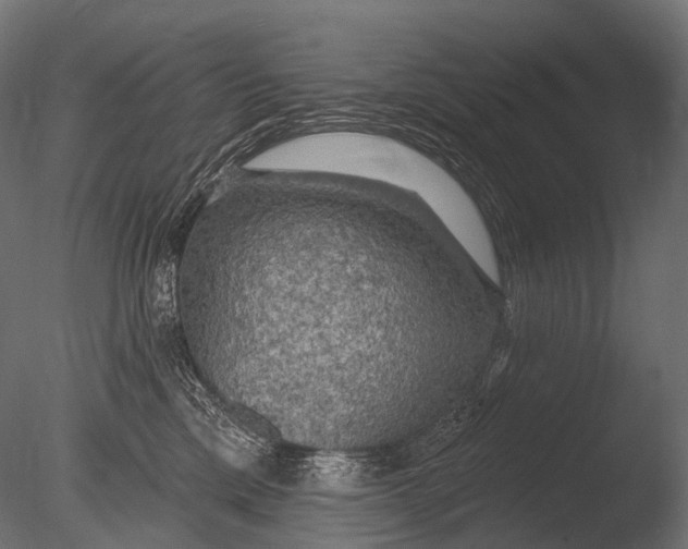 X0000085060425200703261210