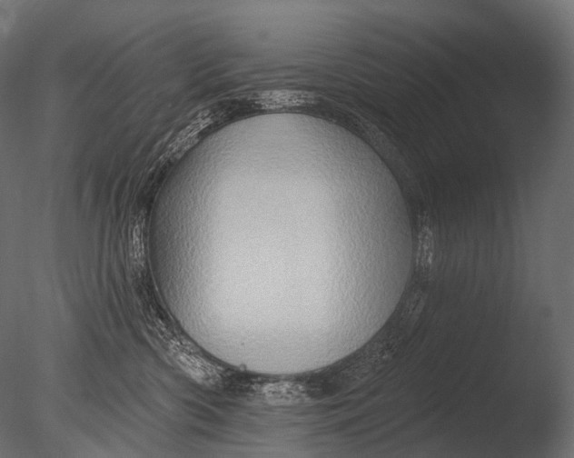 X0000085060426200703261210