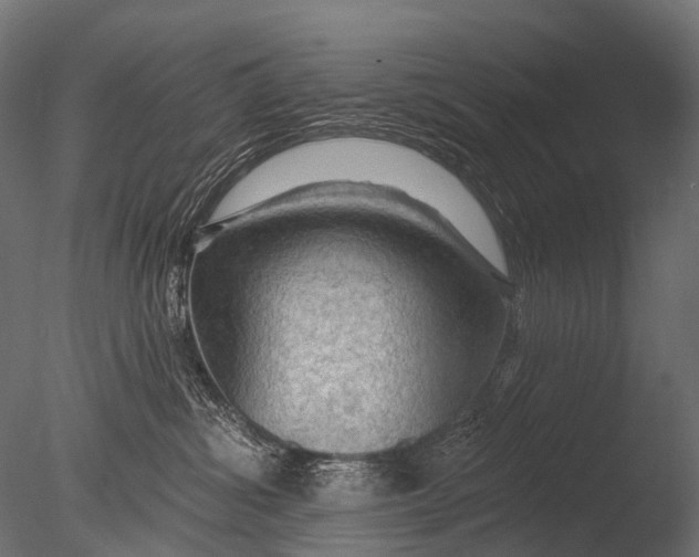 X0000085060428200703261210