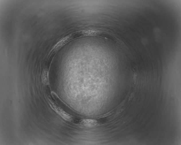X0000085060429200703261210
