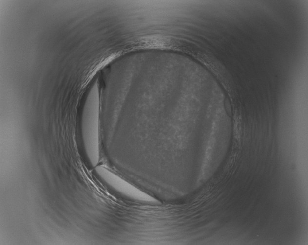 X0000085060434200703261209
