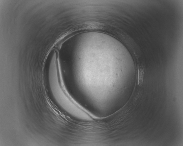 X0000085060435200703261209