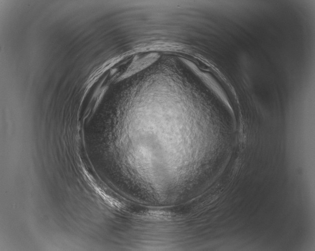X0000085060437200703261209