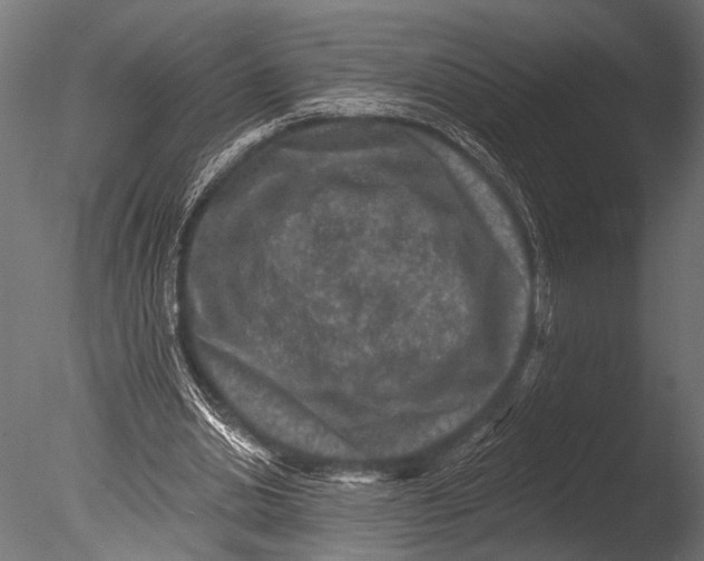 X0000085060438200703261209