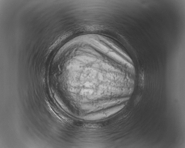 X0000085060443200703261209