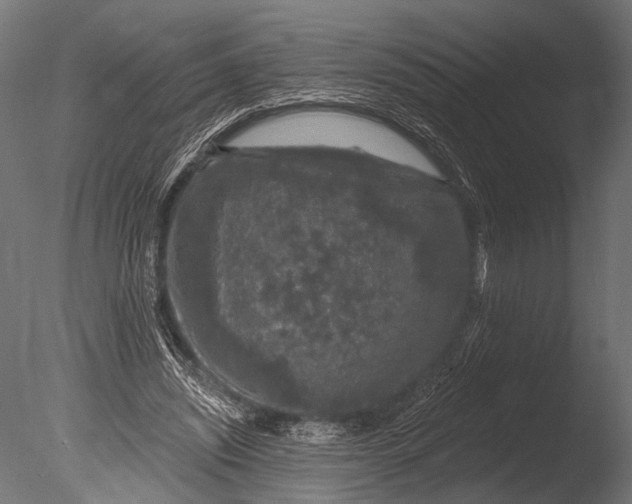 X0000085060444200703261209