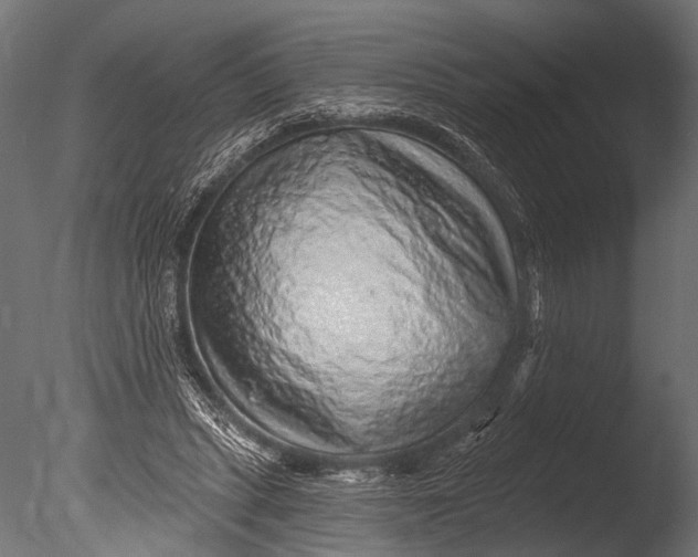 X0000085060447200703261209