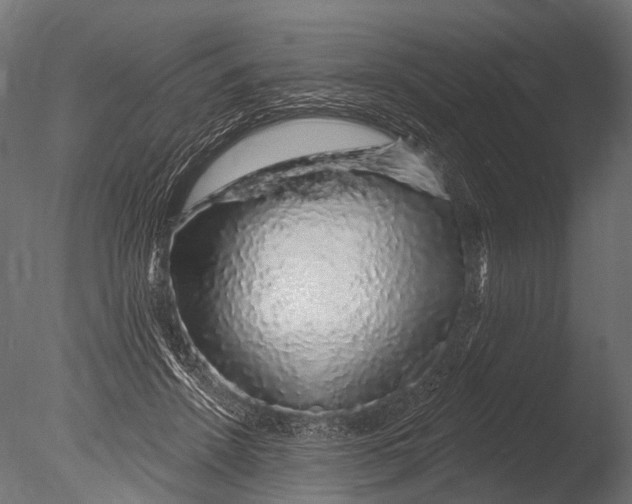 X0000085060456200703261209