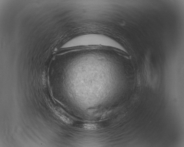 X0000085060457200703261209