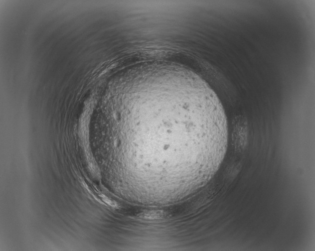 X0000085060459200703261209