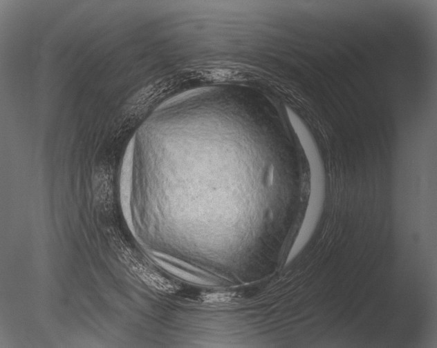 X0000085060461200703261209