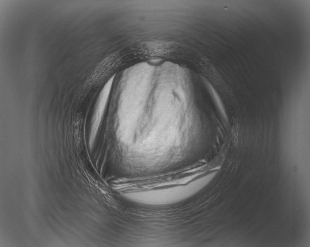 X0000085060462200703261209