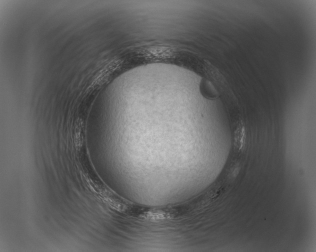 X0000085060464200703261209
