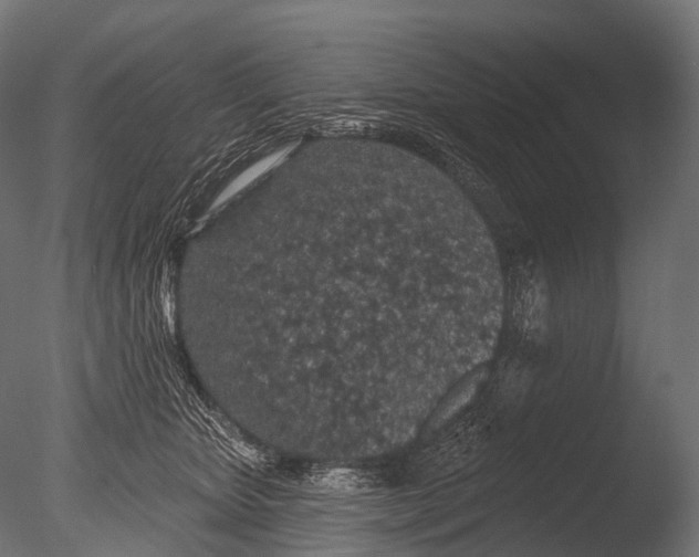 X0000085060467200703261209