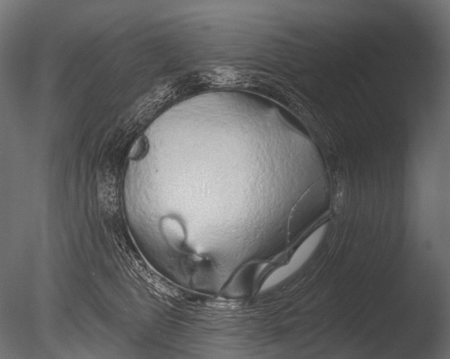 X0000085060469200703261209