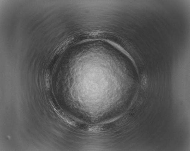 X0000085060470200703261209