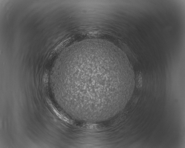 X0000085060472200703261209