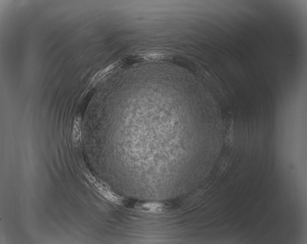X0000085060478200703261210