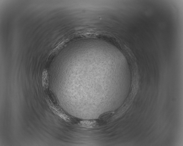 X0000085060480200703261210