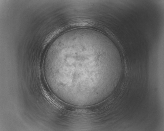 X0000085060482200703261209