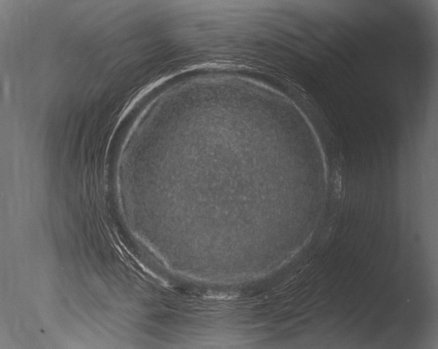 X0000085060484200703261209