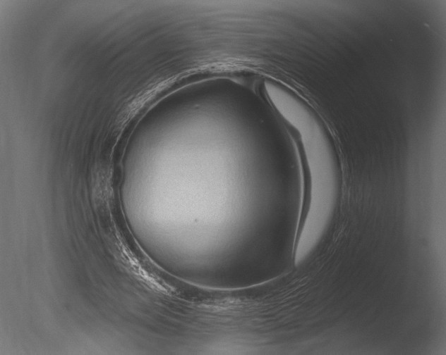 X0000085060485200703261209