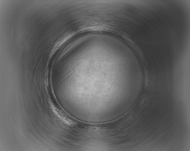 X0000085060486200703261209