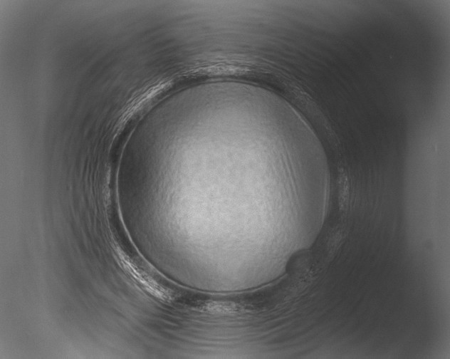 X0000085060490200703261209