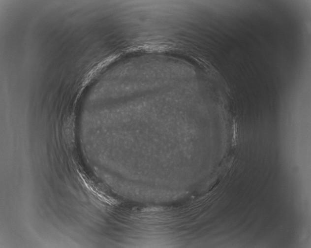 X0000085060492200703261209