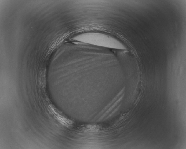 X0000085060493200703261209