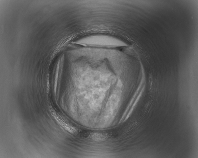 X0000085060494200703261209