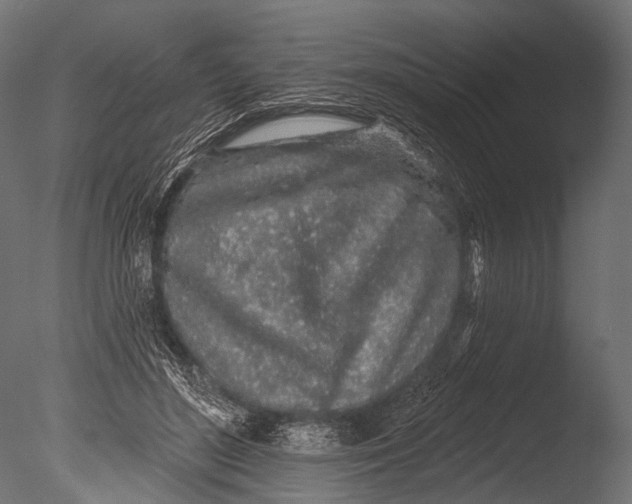 X0000085060500200703261208