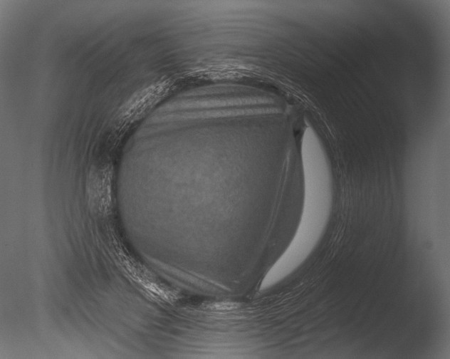 X0000085060501200703261208