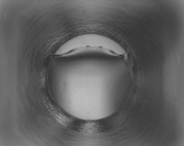 X0000085060505200703261208