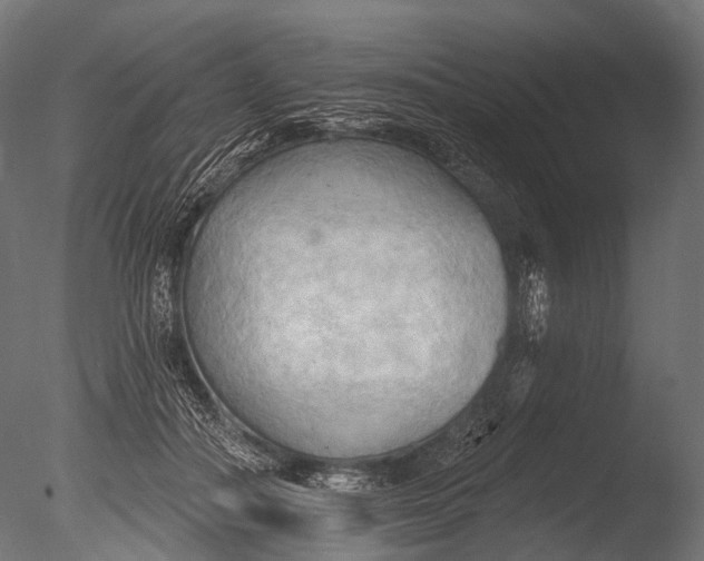 X0000085060506200703261208